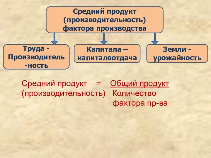 Средний продукт (производительность) фактора производства Труда -Производитель-ность Капитала – капиталоотдача Земли