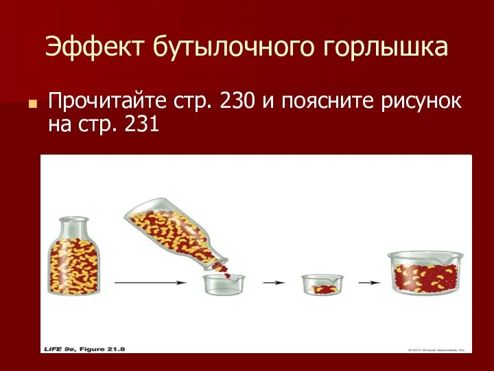 Эффект бутылочного горлышка Прочитайте стр. 230 и поясните рисунок на стр. 231