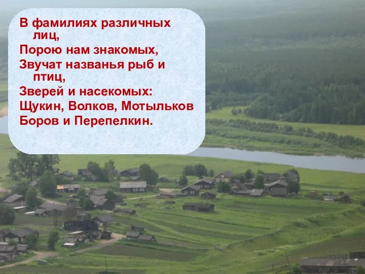 В фамилиях различных лиц, Порою нам знакомых, Звучат названья рыб и