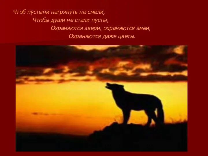 Чтоб пустыни нагрянуть не смели, Чтобы души не стали пусты, Охраняются