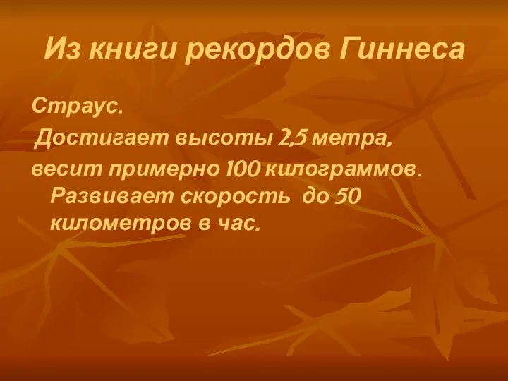 Из книги рекордов Гиннеса Страус. Достигает высоты 2,5 метра, весит примерно