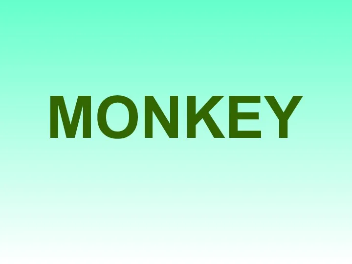 MONKEY