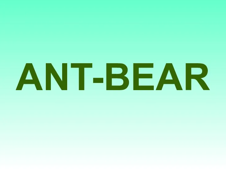 ANT-BEAR