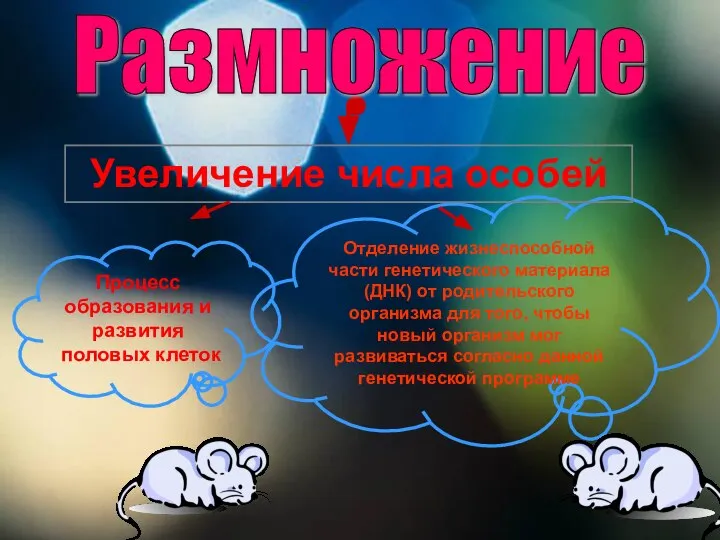 Отделение жизнеспособной части генетического материала (ДНК) от родительского организма для того,