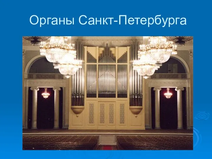 Органы Санкт-Петербурга