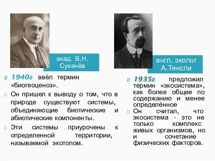 акад. В.Н.Сукачёв 1940г ввёл термин «биогеоценоз». Он пришел к выводу о