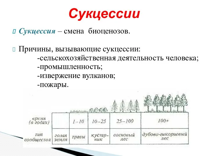 Сукцессии Сукцессия – смена биоценозов. Причины, вызывающие сукцессии: -сельскохозяйственная деятельность человека; -промышленность; -извержение вулканов; -пожары.