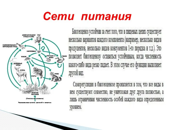 Сети питания