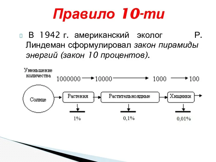 Правило 10-ти В 1942 г. американский эколог Р. Линдеман сформулировал закон пирамиды энергий (закон 10 процентов).