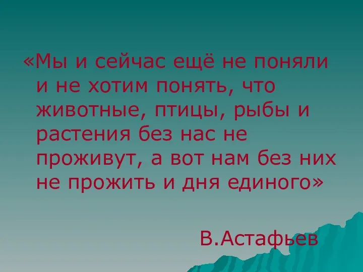 «Мы и сейчас ещё не поняли и не хотим понять, что