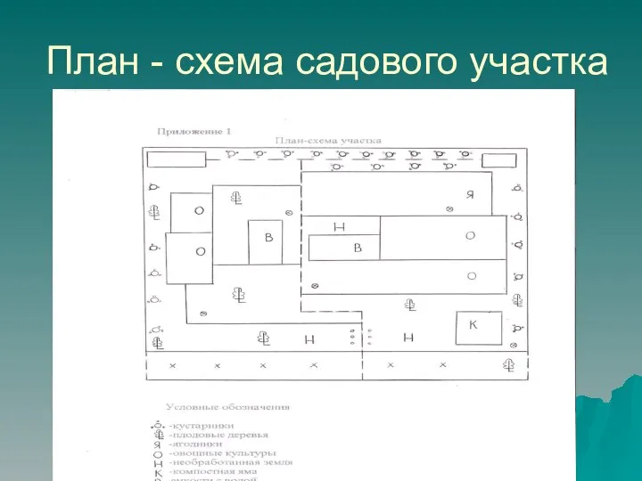 План - схема садового участка