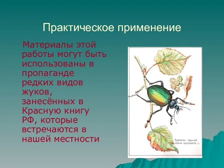 Практическое применение Материалы этой работы могут быть использованы в пропаганде редких