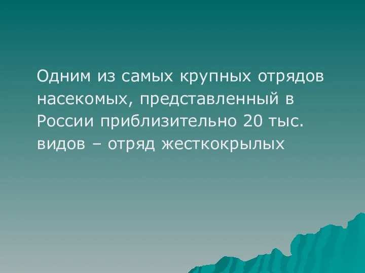 Одним из самых крупных отрядов насекомых, представленный в России приблизительно 20 тыс. видов – отряд жесткокрылых