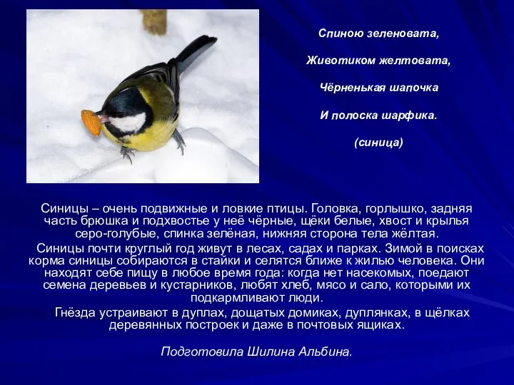 Спиною зеленовата, Животиком желтовата, Чёрненькая шапочка И полоска шарфика. (синица) Синицы