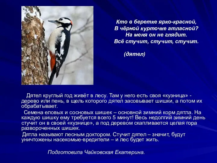 Кто в беретке ярко-красной, В чёрной курточке атласной? На меня он