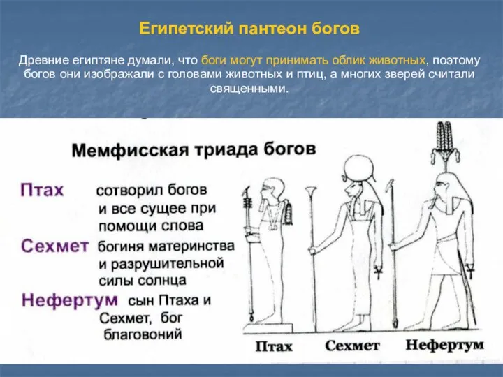 Египетский пантеон богов Древние египтяне думали, что боги могут принимать облик