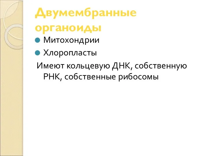 Двумембранные органоиды Митохондрии Хлоропласты Имеют кольцевую ДНК, собственную РНК, собственные рибосомы