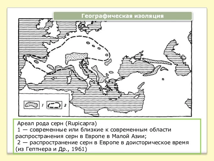 Ареал рода серн (Rupicapra) 1 — современные или близкие к современным