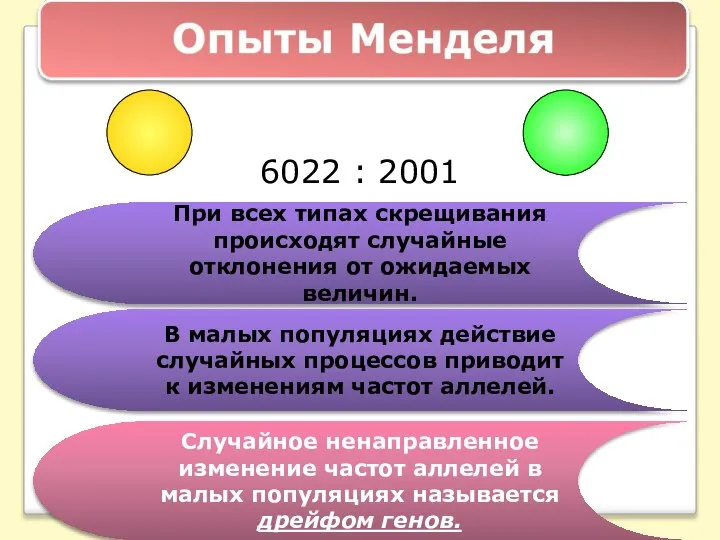 6022 : 2001 При всех типах скрещивания происходят случайные отклонения от