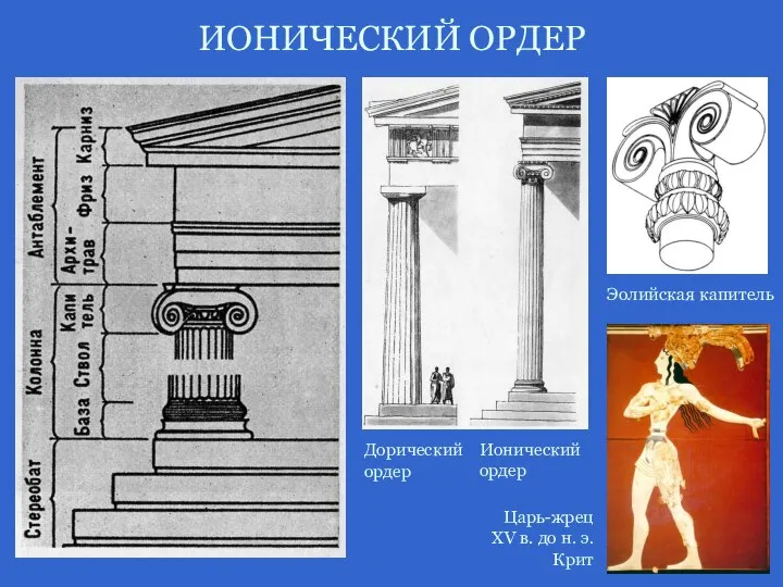 ИОНИЧЕСКИЙ ОРДЕР Эолийская капитель Царь-жрец XV в. до н. э. Крит Дорический ордер Ионический ордер