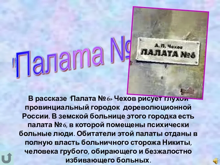 В рассказе "Палата №6» Чехов рисует глухой провинциальный городок дореволюционной России.