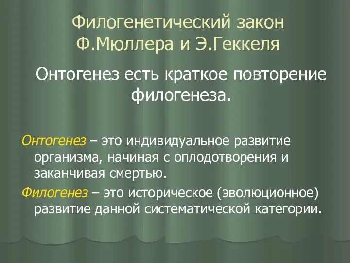 Филогенетический закон Ф.Мюллера и Э.Геккеля Онтогенез есть краткое повторение филогенеза. Онтогенез