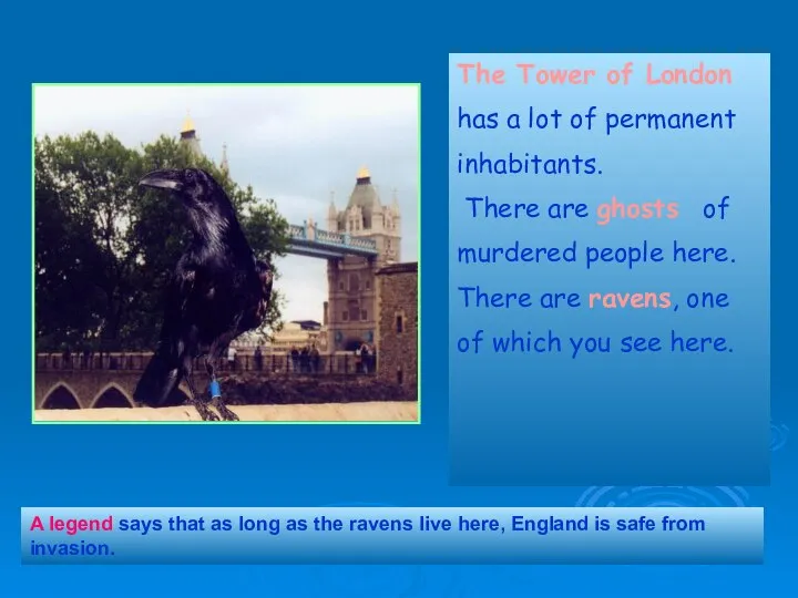 The Tower of London has a lot of permanent inhabitants. There
