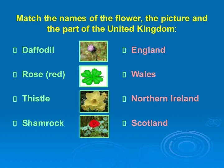 Match the names of the flower, the picture and the part