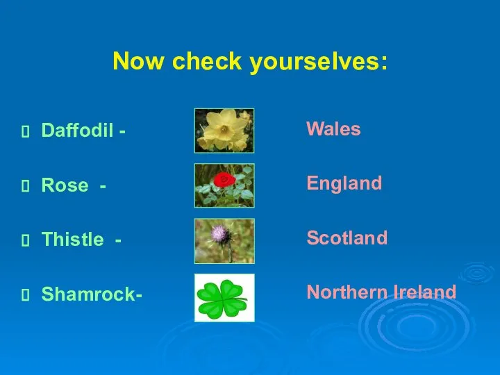 Now check yourselves: Wales England Scotland Northern Ireland Daffodil - Rose - Thistle - Shamrock-