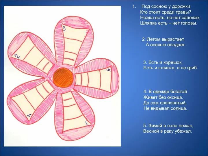 Под сосною у дорожки Кто стоит среди травы? Ножка есть, но