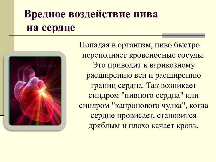 Вредное воздействие пива на сердце Попадая в организм, пиво быстро переполняет