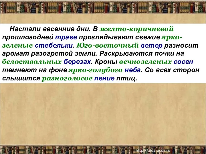 Настали весенние дни. В желто-коричневой прошлогодней траве проглядывают свежие ярко-зеленые стебельки.