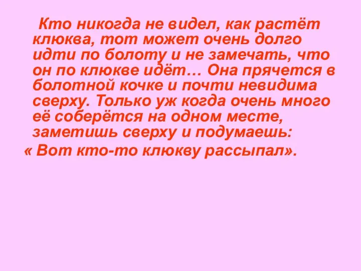 Кто никогда не видел, как растёт клюква, тот может очень долго