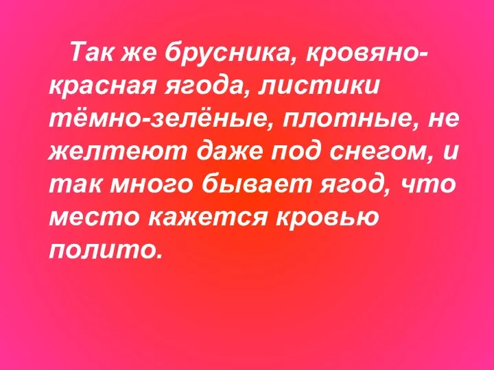 Так же брусника, кровяно-красная ягода, листики тёмно-зелёные, плотные, не желтеют даже