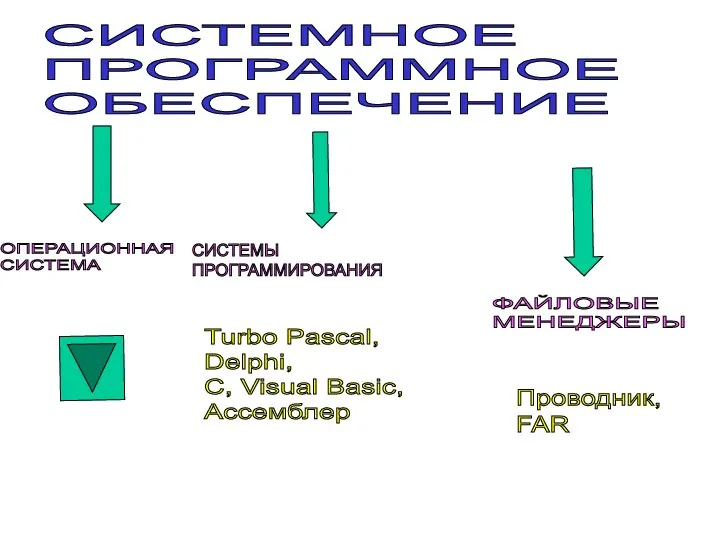 СИСТЕМНОЕ ПРОГРАММНОЕ ОБЕСПЕЧЕНИЕ ОПЕРАЦИОННАЯ СИСТЕМА СИСТЕМЫ ПРОГРАММИРОВАНИЯ ФАЙЛОВЫЕ МЕНЕДЖЕРЫ Turbo Pascal,