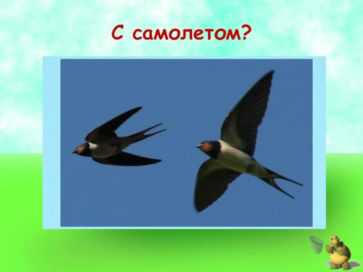 С самолетом?