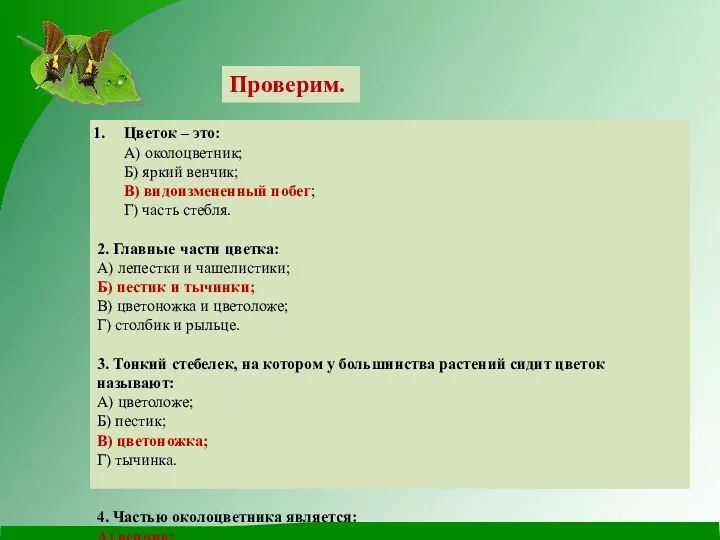 Проверим. Цветок – это: A) околоцветник; Б) яркий венчик; В) видоизмененный