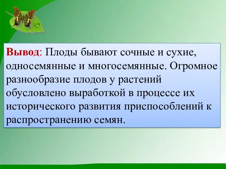 Вывод: Плоды бывают сочные и сухие, односемянные и многосемянные. Огромное разнообразие