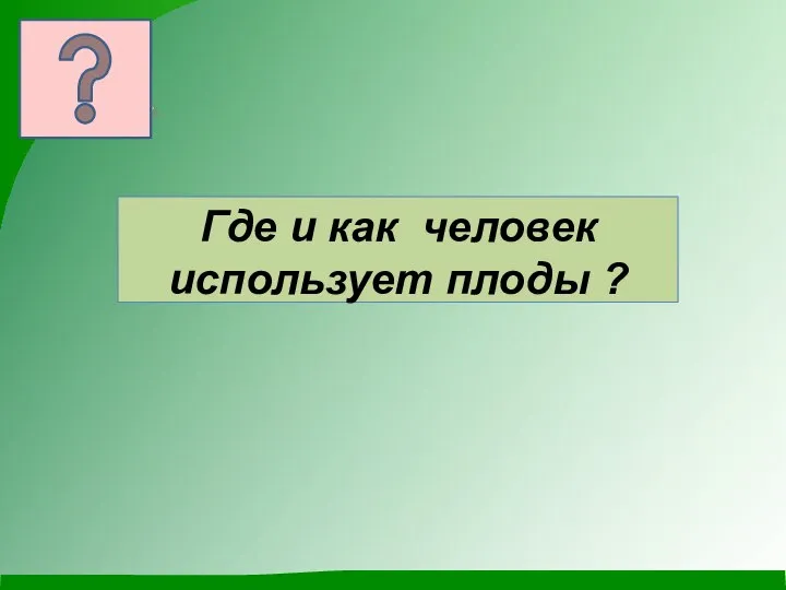 Где и как человек использует плоды ?