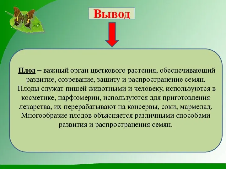 Вывод Плод – важный орган цветкового растения, обеспечивающий развитие, созревание, защиту