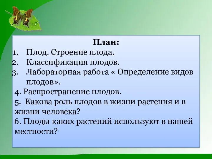 План: Плод. Строение плода. Классификация плодов. Лабораторная работа « Определение видов