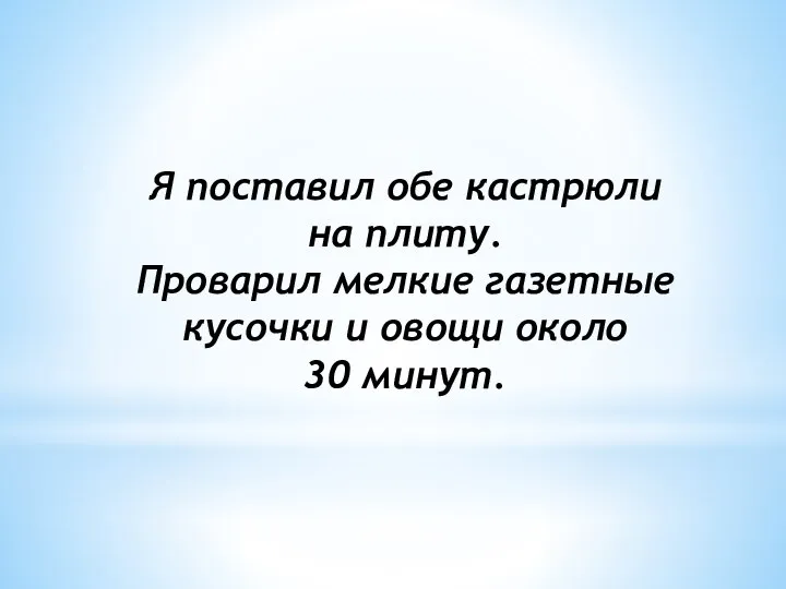 Я поставил обе кастрюли на плиту. Проварил мелкие газетные кусочки и овощи около 30 минут.