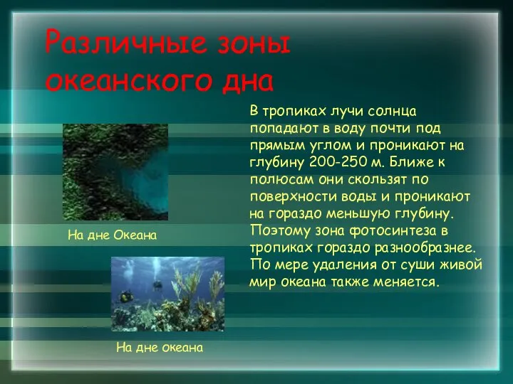 Различные зоны океанского дна В тропиках лучи солнца попадают в воду