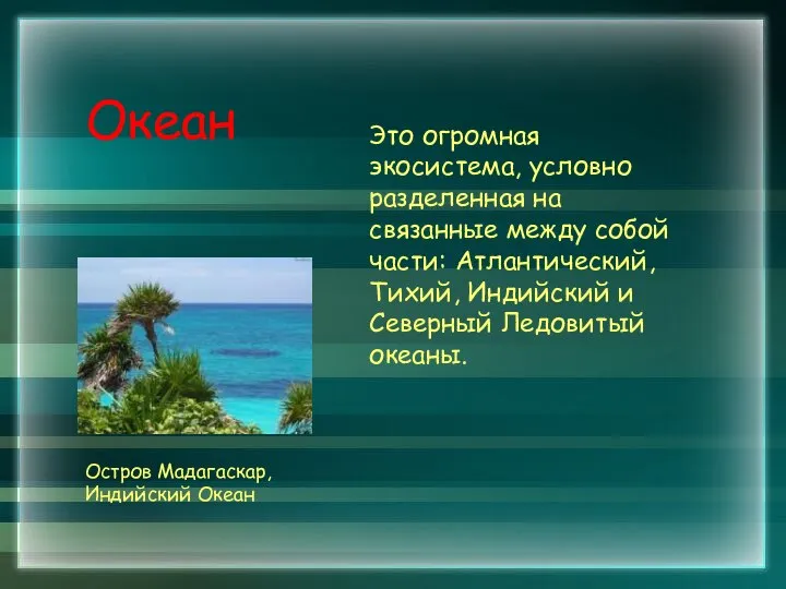 Океан Это огромная экосистема, условно разделенная на связанные между собой части: