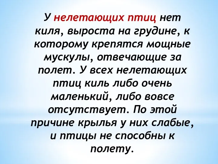 У нелетающих птиц нет киля, выроста на грудине, к которому крепятся