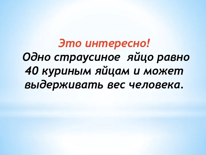 Это интересно! Одно страусиное яйцо равно 40 куриным яйцам и может выдерживать вес человека.