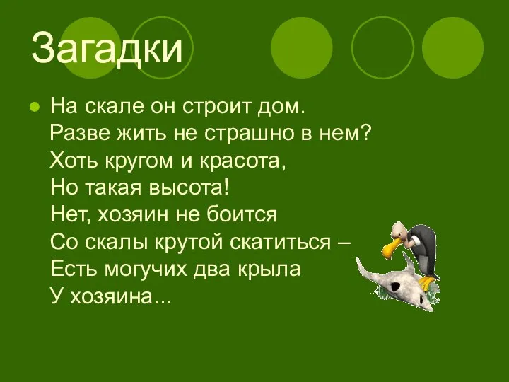 Загадки На скале он строит дом. Разве жить не страшно в