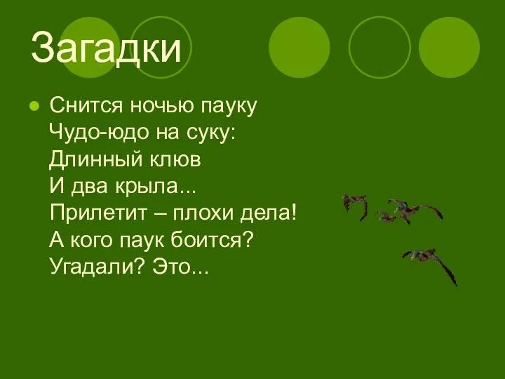 Загадки Снится ночью пауку Чудо-юдо на суку: Длинный клюв И два