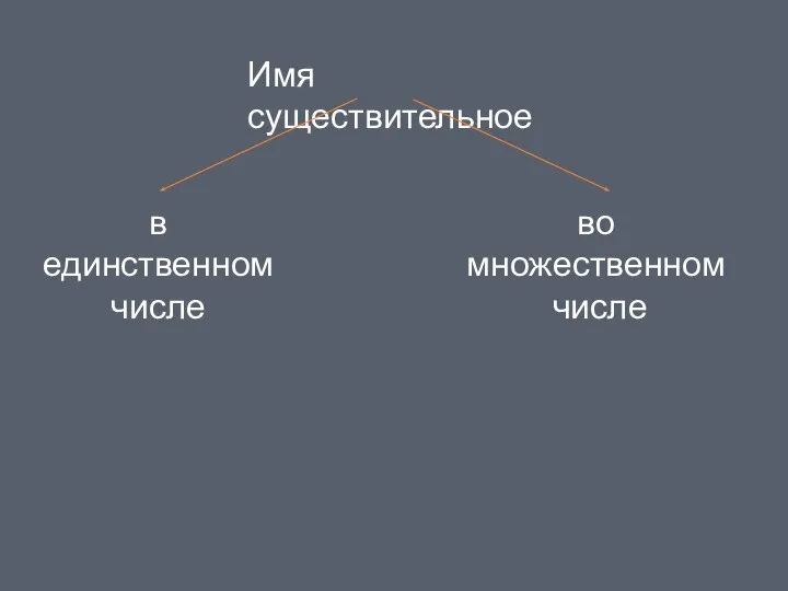 Имя существительное в единственном числе во множественном числе