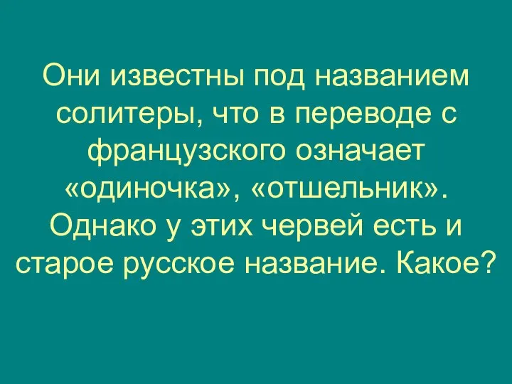 Они известны под названием солитеры, что в переводе с французского означает